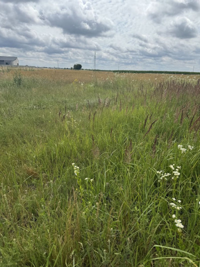 Na sprzedaż działka budowlana - Leszno - wielkopolskie