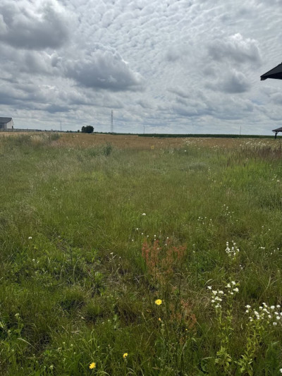 Na sprzedaż działka budowlana - Leszno -
wielkopolskie Zdjęcie nr 2