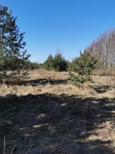Na sprzedaż działka budowlana - Rzędkowice -
śląskie Zdjęcie nr 2