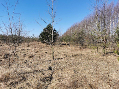 Na sprzedaż działka budowlana - Rzędkowice -
śląskie Zdjęcie nr 5