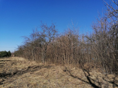 Na sprzedaż działka budowlana - Rzędkowice -
śląskie Zdjęcie nr 7