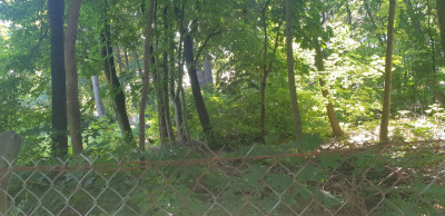 Na sprzedaż działka budowlana - Warszawa -
mazowieckie Zdjęcie nr 3