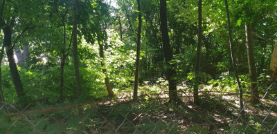 Na sprzedaż działka budowlana - Warszawa -
mazowieckie Zdjęcie nr 4