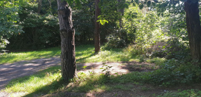 Na sprzedaż działka budowlana - Warszawa -
mazowieckie Zdjęcie nr 7