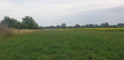 Na sprzedaż działka budowlana - Cząstków Mazowiecki - mazowieckie
