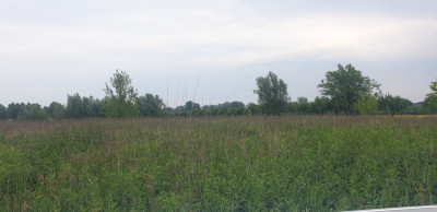 Na sprzedaż działka budowlana - Cząstków Mazowiecki -
mazowieckie Zdjęcie nr 5