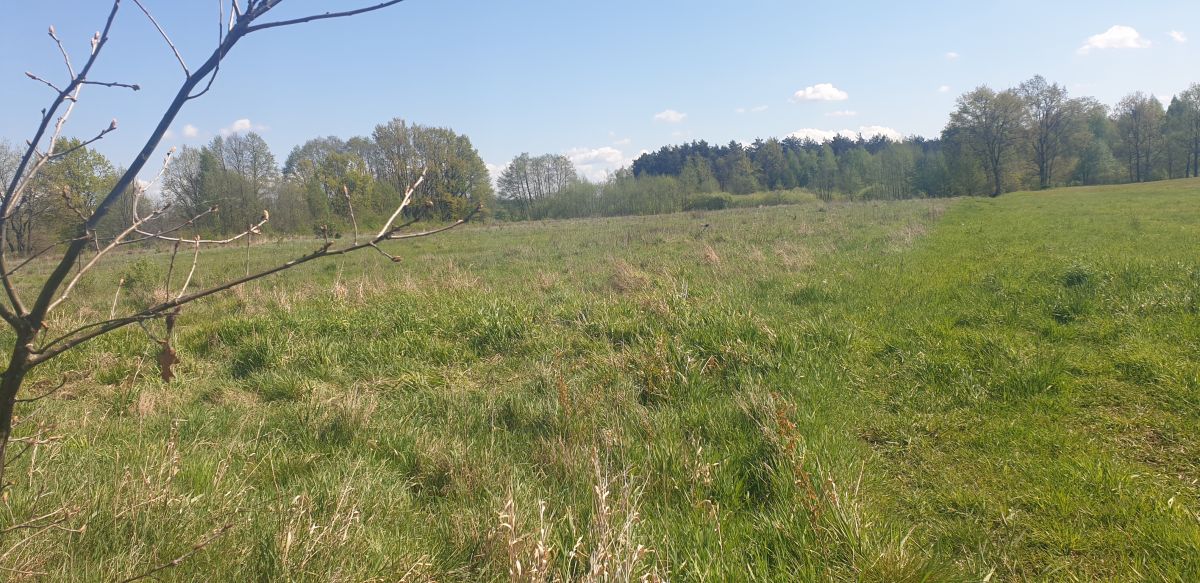 Na sprzedaż działka budowlana - Józefów -
mazowieckie Zdjęcie nr 1