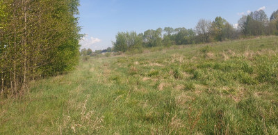 Na sprzedaż działka budowlana - Józefów -
mazowieckie Zdjęcie nr 10