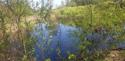 Na sprzedaż działka budowlana - Józefów -
mazowieckie Zdjęcie nr 11