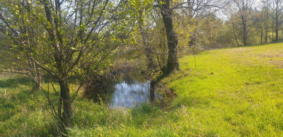 Na sprzedaż działka budowlana - Józefów -
mazowieckie Zdjęcie nr 13