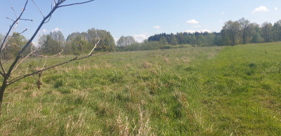 Na sprzedaż działka budowlana - Józefów - mazowieckie