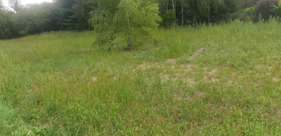 Na sprzedaż działka budowlana - Ludwinowo Zegrzyńskie -
mazowieckie Zdjęcie nr 9