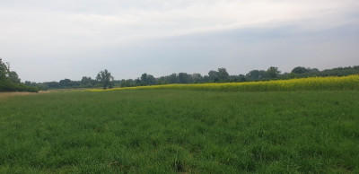 Na sprzedaż działka rolna - Zambrzyniec - mazowieckie