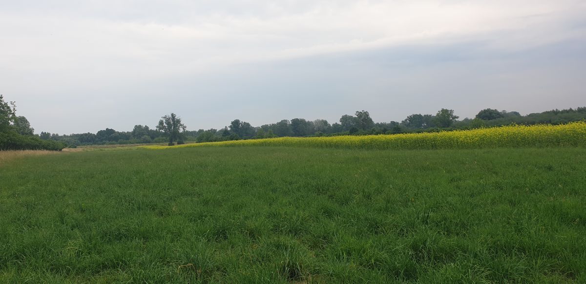 Na sprzedaż działka rolna - Karczewizna -
mazowieckie Zdjęcie nr 1