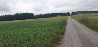 Na sprzedaż działka budowlana - Wola Pasikońska -
mazowieckie Zdjęcie nr 6