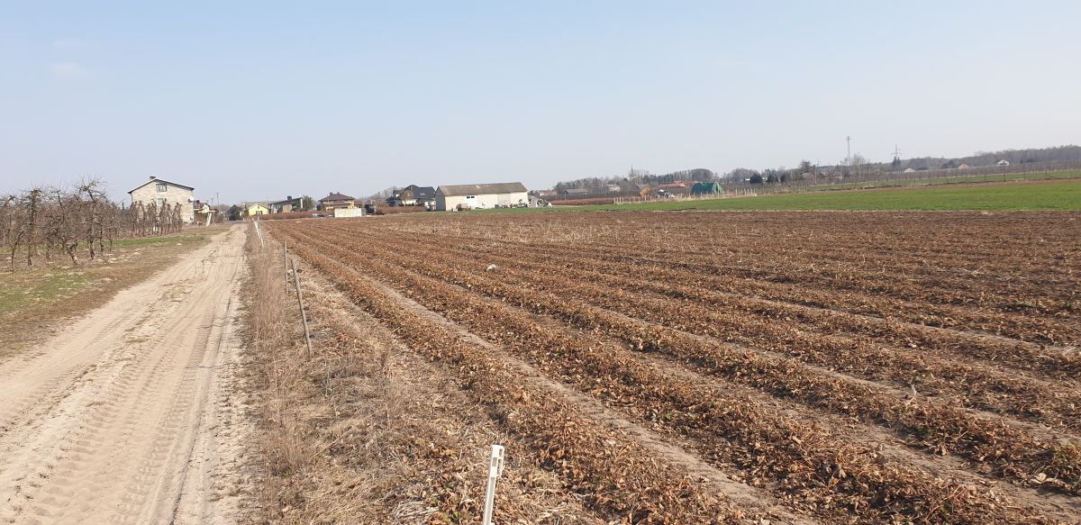Na sprzedaż działka budowlana - Michalczew -
mazowieckie Zdjęcie nr 1