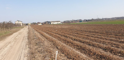 Na sprzedaż działka budowlana - Michalczew -
mazowieckie