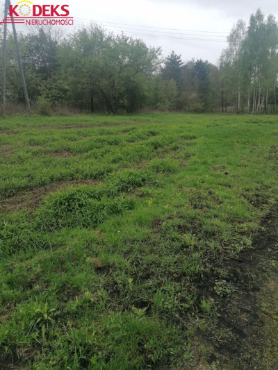 Na sprzedaż działka budowlana - Jabłonna -
mazowieckie Zdjęcie nr 2