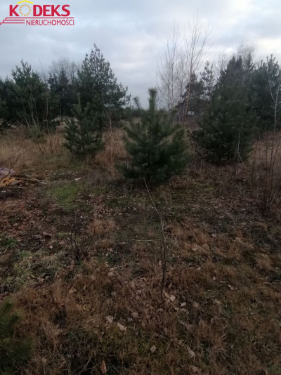 Na sprzedaż działka budowlana - Jachranka -
mazowieckie Zdjęcie nr 2