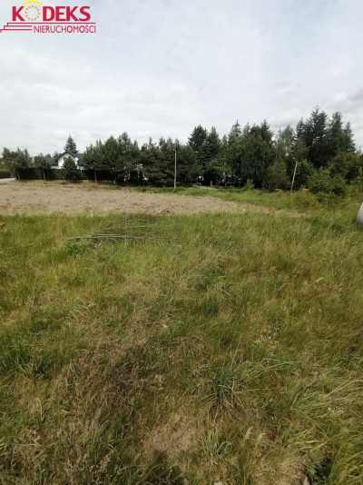 Na sprzedaż działka budowlana - Wierzbica -
mazowieckie Zdjęcie nr 3
