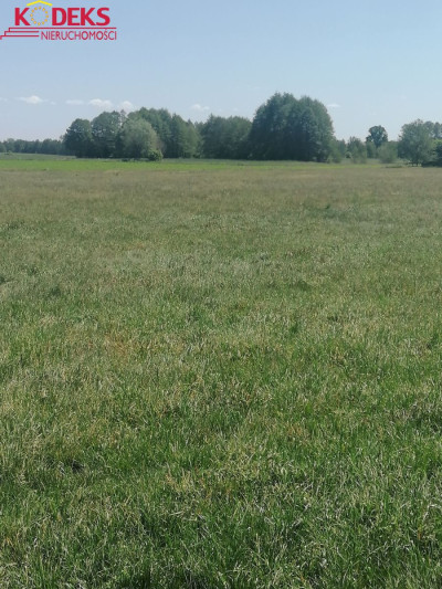 Na sprzedaż działka budowlana - Karolinowo -
mazowieckie Zdjęcie nr 2