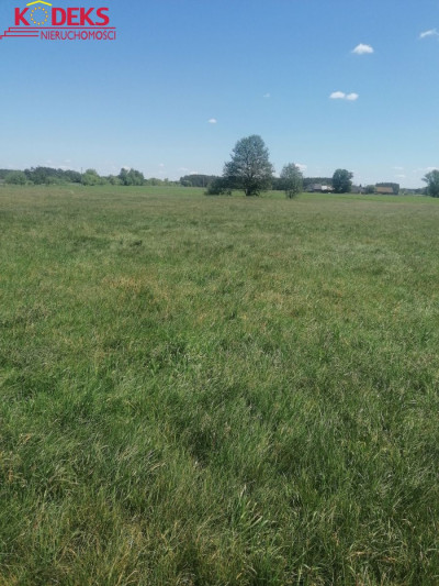 Na sprzedaż działka budowlana - Karolinowo -
mazowieckie Zdjęcie nr 3