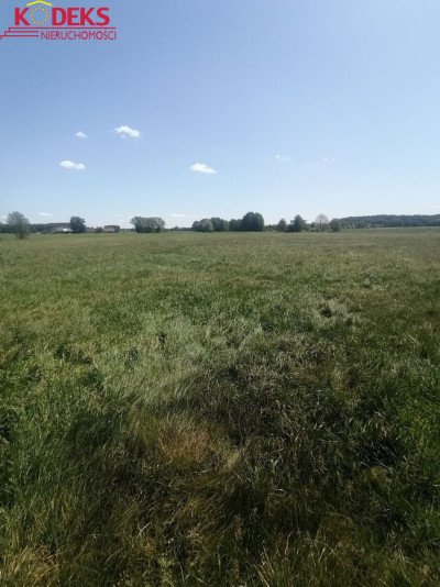 Na sprzedaż działka budowlana - Karolinowo -
mazowieckie Zdjęcie nr 4