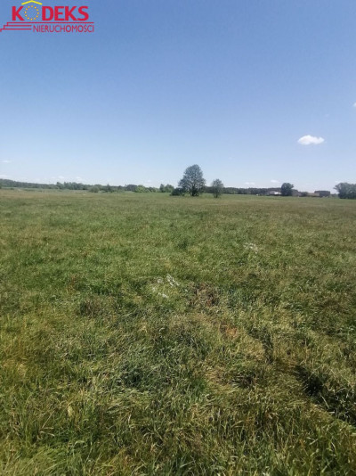 Na sprzedaż działka budowlana - Karolinowo -
mazowieckie Zdjęcie nr 5