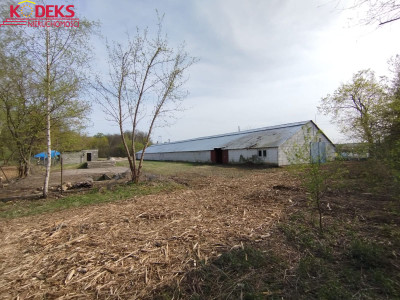 Na sprzedaż działka inwestycyjna - Skrzeszew -
mazowieckie Zdjęcie nr 3