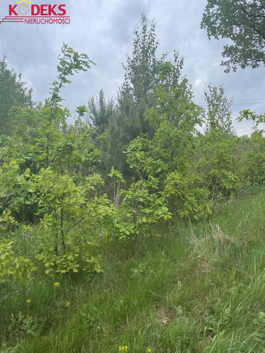 Na sprzedaż działka budowlana - Jachranka -
mazowieckie Zdjęcie nr 1