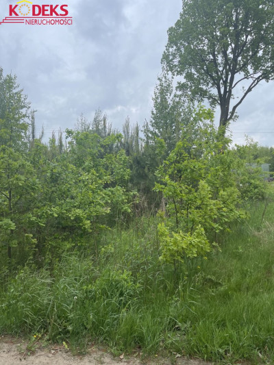 Na sprzedaż działka budowlana - Jachranka -
mazowieckie Zdjęcie nr 2