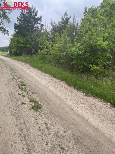 Na sprzedaż działka budowlana - Jachranka -
mazowieckie Zdjęcie nr 3