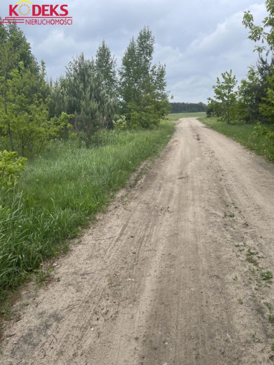 Na sprzedaż działka budowlana - Jachranka -
mazowieckie Zdjęcie nr 4