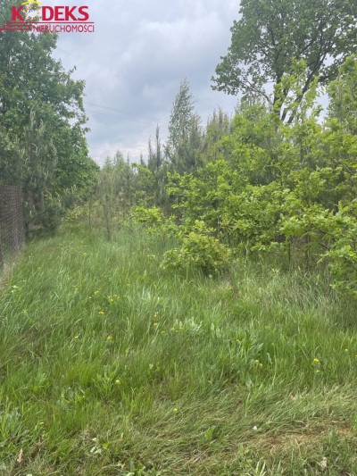 Na sprzedaż działka budowlana - Jachranka -
mazowieckie Zdjęcie nr 5