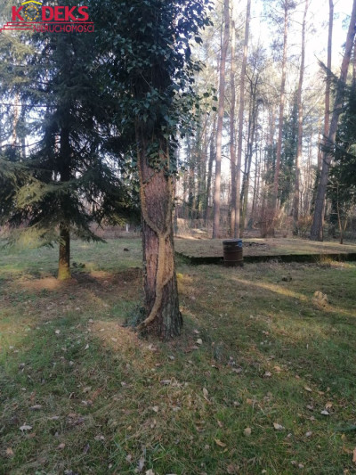 Na sprzedaż działka rekreacyjna - Wieliszew -
mazowieckie Zdjęcie nr 2