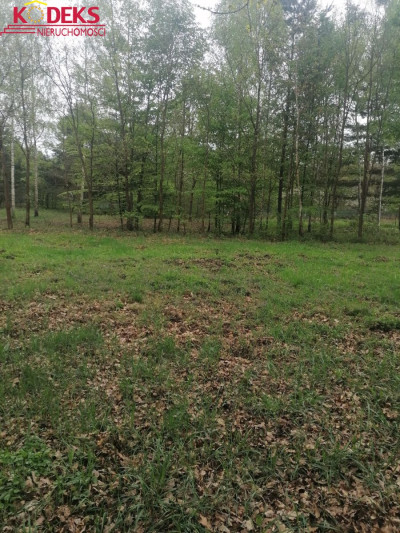 Na sprzedaż działka budowlana - Jabłonna -
mazowieckie Zdjęcie nr 4