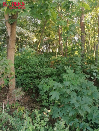 Na sprzedaż działka budowlana - Legionowo - mazowieckie