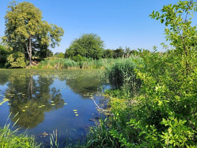 Na sprzedaż działka rekreacyjna - Głoska -
dolnośląskie Zdjęcie nr 3