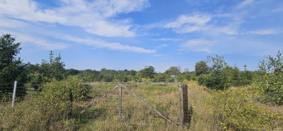 Na sprzedaż działka rekreacyjna - Głoska -
dolnośląskie Zdjęcie nr 6