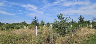Na sprzedaż działka rekreacyjna - Głoska -
dolnośląskie Zdjęcie nr 7