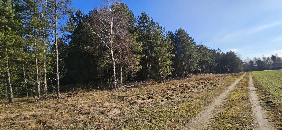 Na sprzedaż działka budowlana - Drogoszowice -
dolnośląskie Zdjęcie nr 1