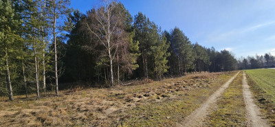 Na sprzedaż działka budowlana - Drogoszowice - dolnośląskie