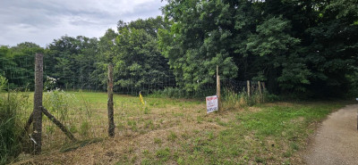 Na sprzedaż działka budowlana - Grodzanów - dolnośląskie