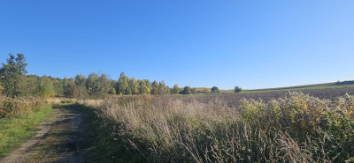 Na sprzedaż działka rolna - Kuraszków -
dolnośląskie Zdjęcie nr 3