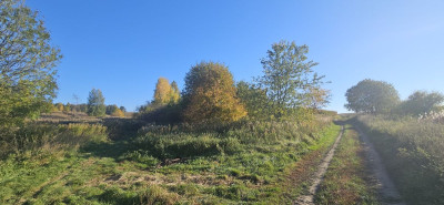 Na sprzedaż działka rolna - Kuraszków -
dolnośląskie Zdjęcie nr 4