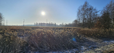 Na sprzedaż działka inwestycyjna - Kotowice -
dolnośląskie Zdjęcie nr 3