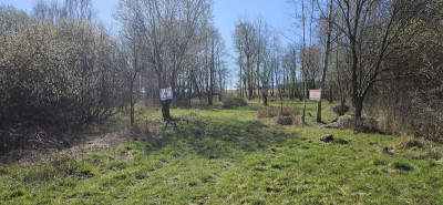 Na sprzedaż działka budowlana - Stary Wielisław -
dolnośląskie Zdjęcie nr 2