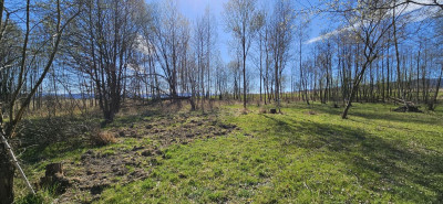 Na sprzedaż działka budowlana - Stary Wielisław -
dolnośląskie Zdjęcie nr 3