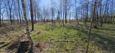 Na sprzedaż działka budowlana - Stary Wielisław -
dolnośląskie Zdjęcie nr 4