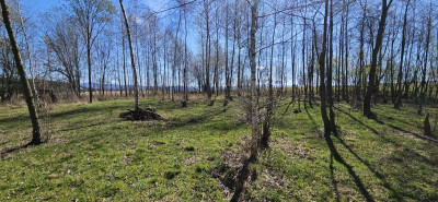 Na sprzedaż działka budowlana - Stary Wielisław -
dolnośląskie Zdjęcie nr 9